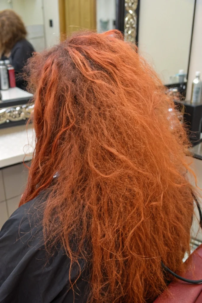 Say Goodbye to Orange Hair: Easy DIY Fixes for Brassy Bleach Mishaps 1 the image shows the back of a person s head with l 2